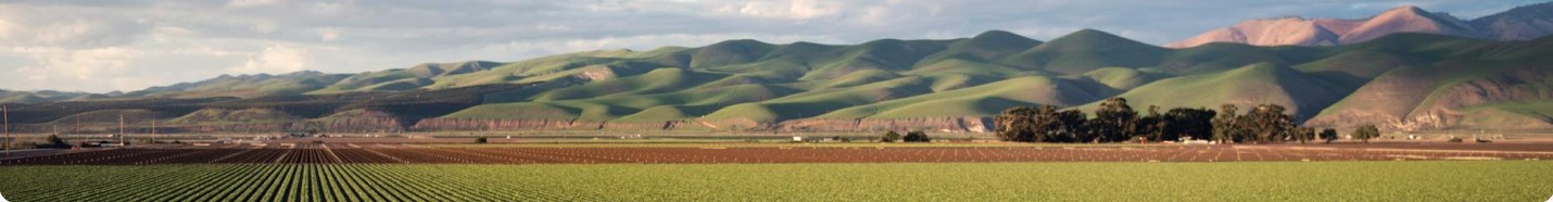Champs cultivés au pied de collines verdoyantes