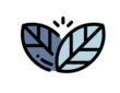 Logo Colin Lemée – Conseils – Formation – Intervention en psychologie environnementale
