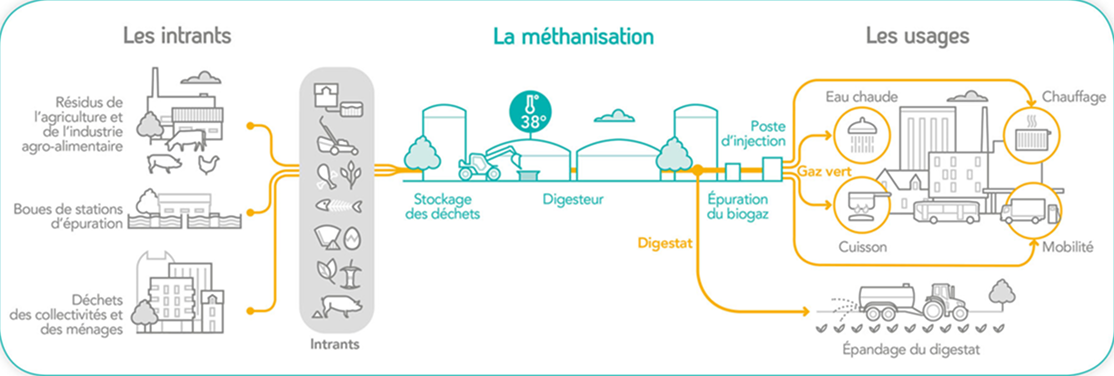 Schéma du procédé : les intrants (résidus agricoles, boues de stations d'épuration, déchets des collectivités et des ménages) alimentent le digesteur ; le biogaz épuré est injecté dans le réseau pour le chauffage, l'eau chaude, la cuisson et la mobilité, et le digestat est épandu
